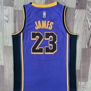 LeBron James Purple Jersey